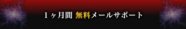 1ヶ月間無料メールサポート